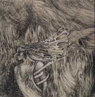 Lucia Calka-Pyda :: Feather, ink, pastel